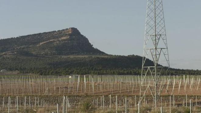 Vigilando el medio ambiente ahora más que nunca