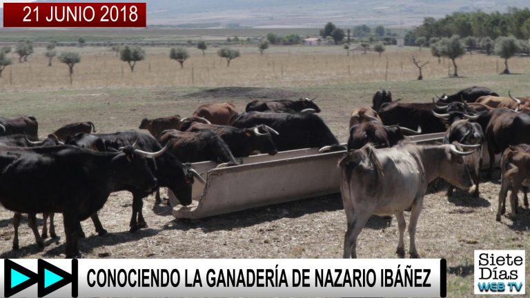 CONOCIENDO LA GANADERÍA DE NAZARIO IBÁÑEZ – 21 JUNIO 2018