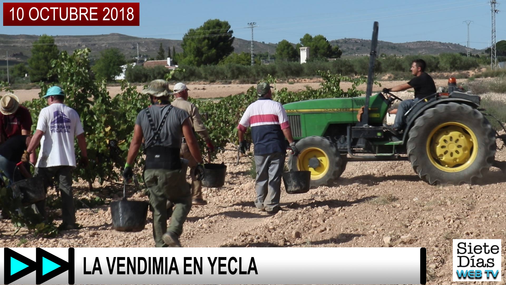 LA VENDIMIA EN YECLA – 10 OCTUBRE 2018