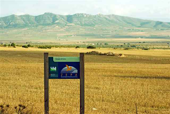 Agricultores yeclanos y de pura ZEPA