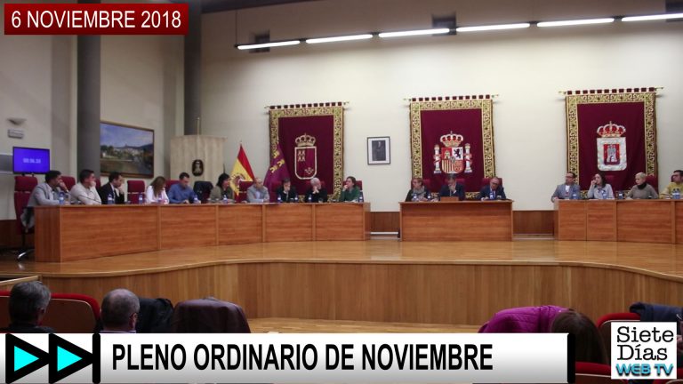 PLENO ORDINARIO NOVIEMBRE – 6 NOVIEMBRE 2018