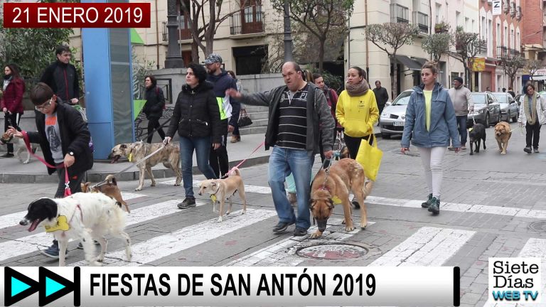 FIESTAS DE SAN ANTÓN 2019 – 21 ENERO 2019