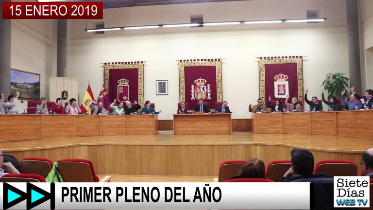 PRIMER PLENO DEL AÑO – 15 ENERO 2019