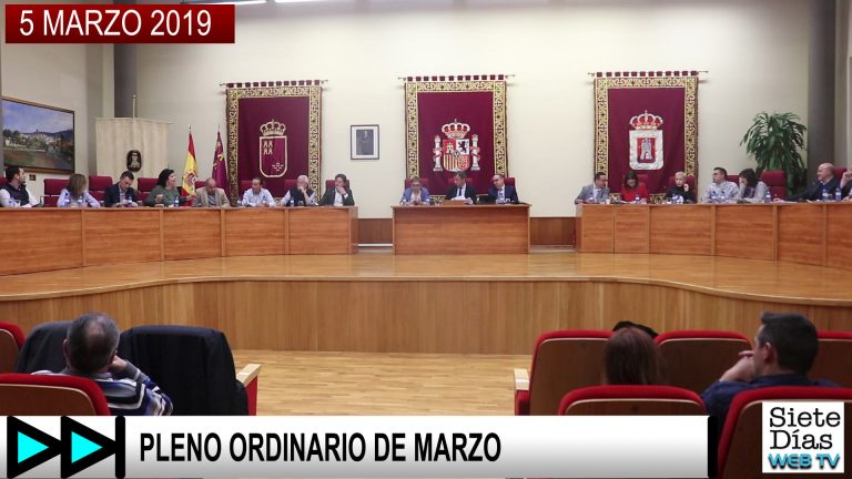 PLENO ORDINARIO DE MARZO – 5 MARZO 2019