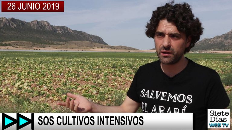 SOS CULTIVOS INTENSIVOS – 26 JUNIO 2019