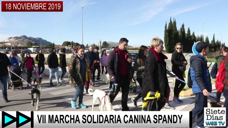 VII MARCHA SOLIDARIA CANINA SPANDY – 18 NOVIEMBRE 2019