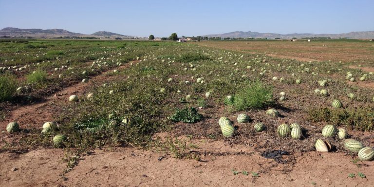 Vecinos del Hondo del Campo dicen que los pesticidas afectan ya a su salud