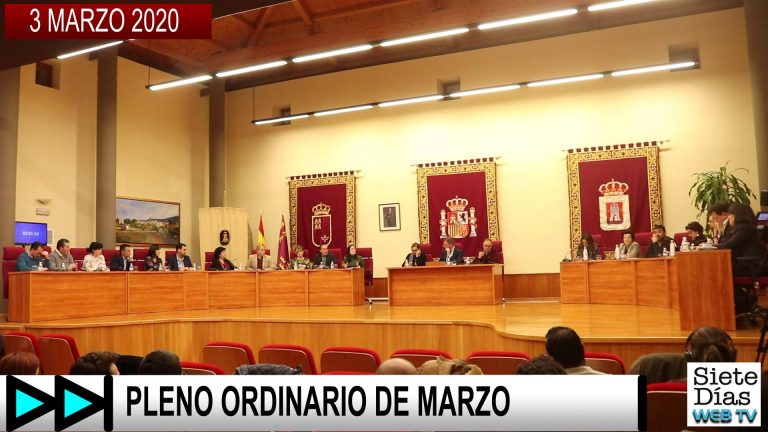 PLENO ORDINARIO DE MARZO – 3 MARZO 2020