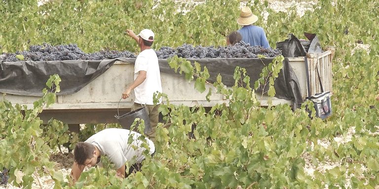 La preocupación por China e Italia mantiene en vilo al mueble y al vino