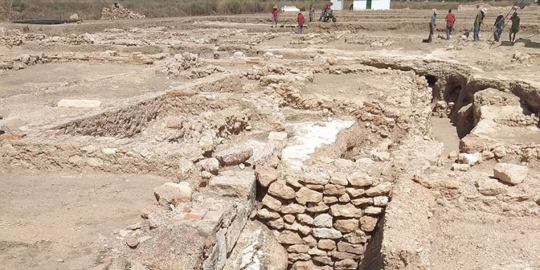 «Los Torrejones puede deparar algún gran hallazgo este verano»