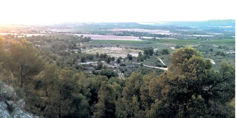 ‘Ruta del Vino de Yecla’, en contra de la macroexplotación  porcina en el Arabí