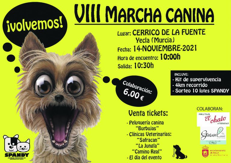 SPANDY retoma su Marcha Canina con un itinerario apto para toda la familia