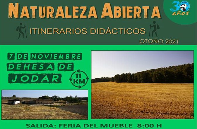 ANIDA marchará en ruta este domingo por la Dehesa del Jódar, en el término municipal de Almansa