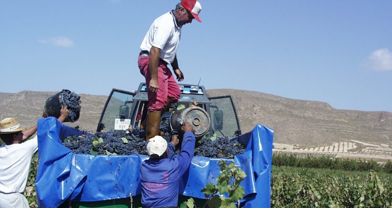 Una semana con el mundo del campo