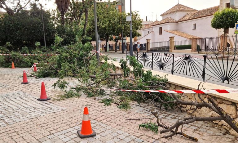 YECLA RESISTE A LA OLA DE CALOR