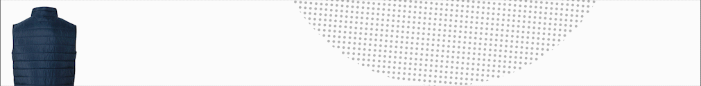 spot_img
