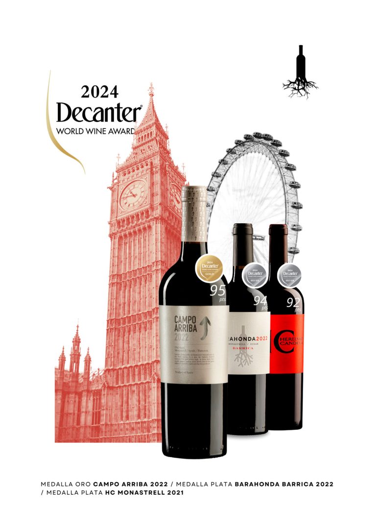 CAMPO ARRIBA OLD VINES 2022 OBTIENE LA MEDALLA DE ORO Y MEJOR VALORACIÓN  CON 95 PUNTOS EN DECANTER WORLD WINE AWARD 2024