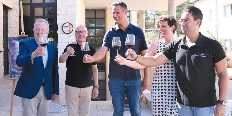 Llegan la Fiesta de la Vendimia y el Festival Nacional de Folclore