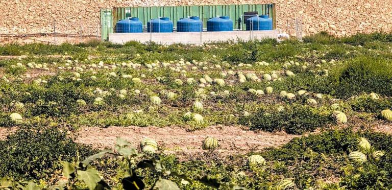 ‘Salvemos el Arabí baraja movilizarse contra los cultivos intensivos