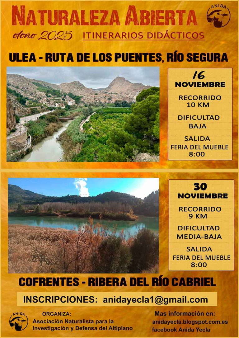 ANIDA viajará hasta Ulea este próximo domingo