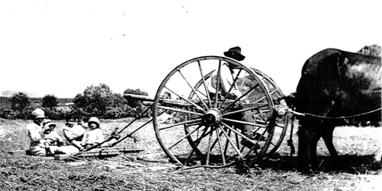 El desaparecido trabajo de la trilla (III)