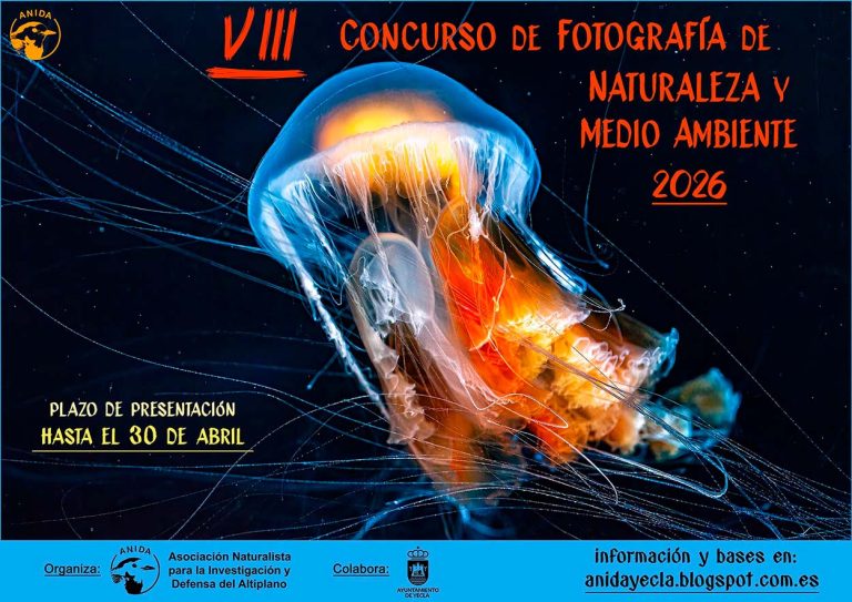 Concurso de fotografía de ANIDA