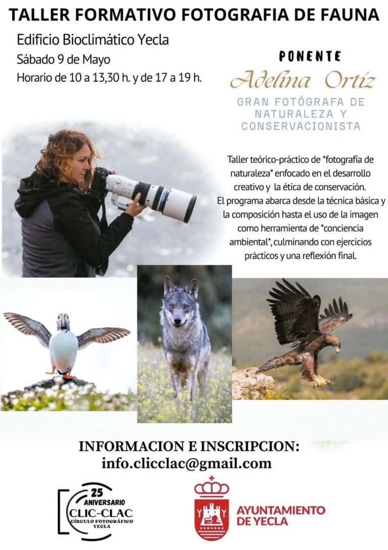 Taller de fotografía de fauna de Clic Clac impartido por Adelina Ortiz